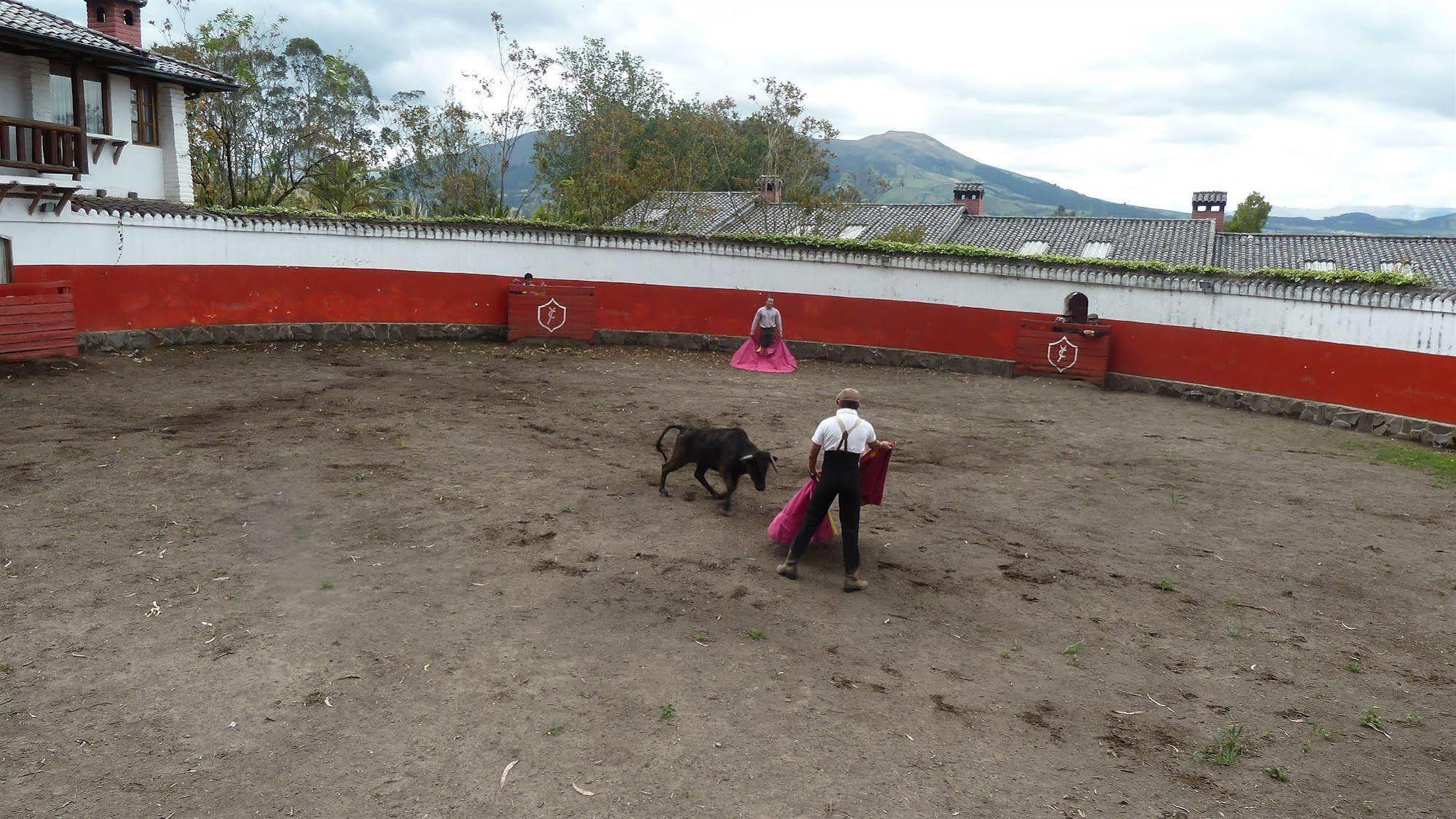 Hacienda Hosteria San Luis กายัมเบ ภายนอก รูปภาพ