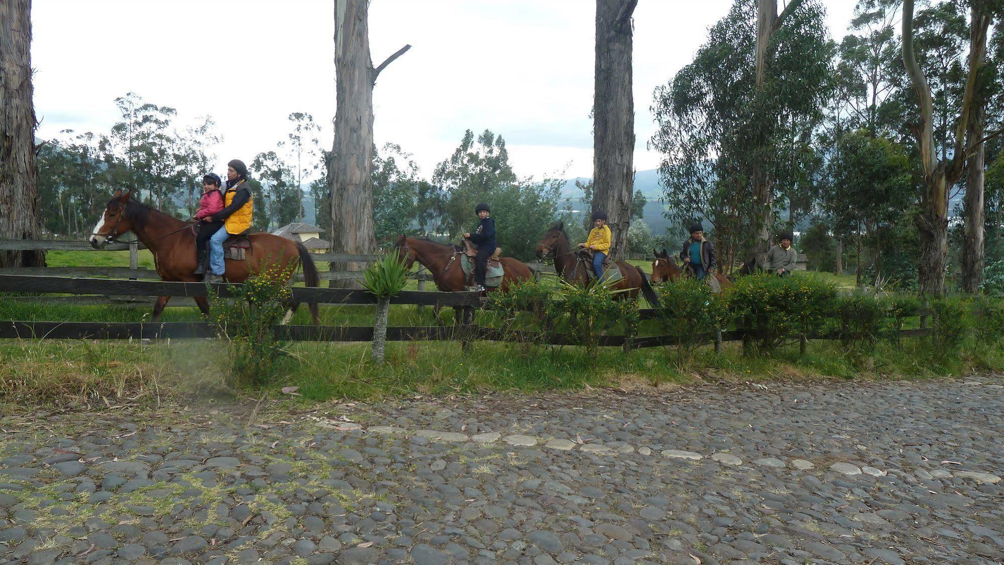 Hacienda Hosteria San Luis กายัมเบ ภายนอก รูปภาพ